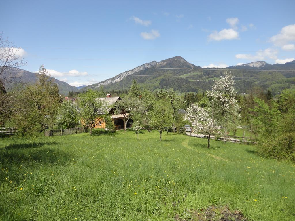 Chalet Ramsau 8 Bad Goisern Exteriér fotografie