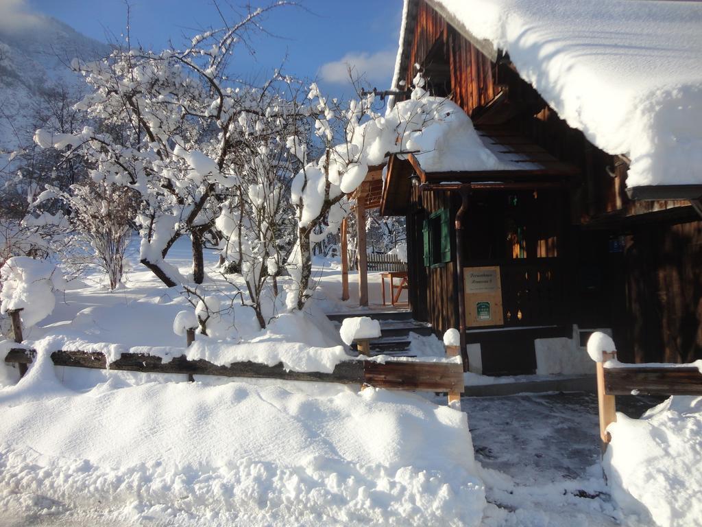 Chalet Ramsau 8 Bad Goisern Exteriér fotografie