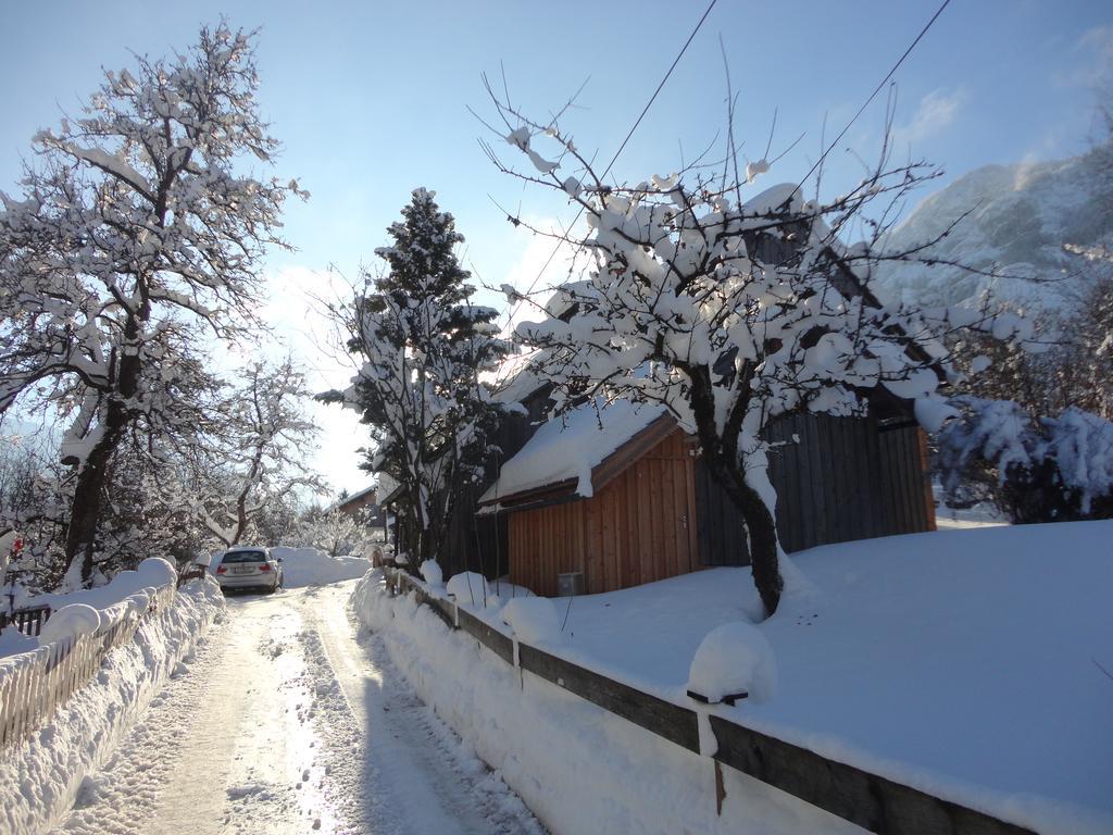 Chalet Ramsau 8 Bad Goisern Exteriér fotografie